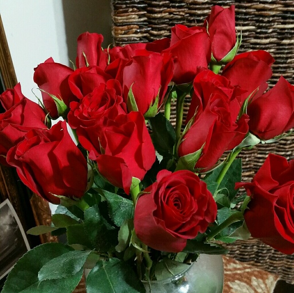 Meet your Posher, Sharon - Picture 1 of 1